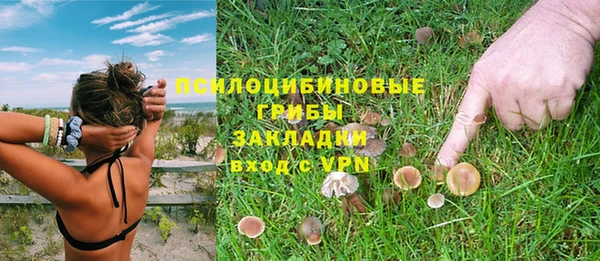 альфа пвп Горно-Алтайск