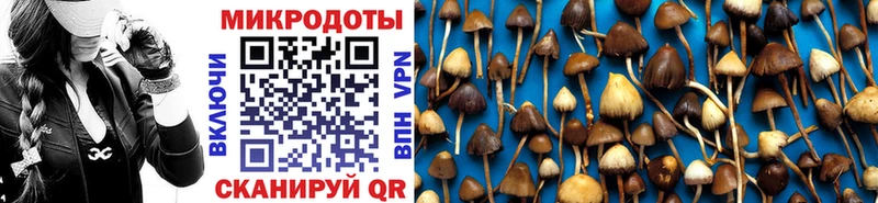 Галлюциногенные грибы ЛСД  Кызыл 