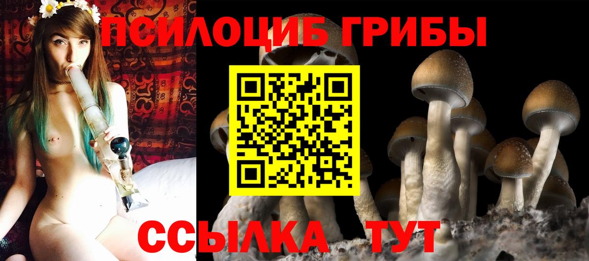 Кызыл  Псилоцибиновые грибы мицелий  Вход с VPN 